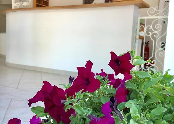 Porto Puddu - Il Nido Dei Gabbiani ホテル 3*