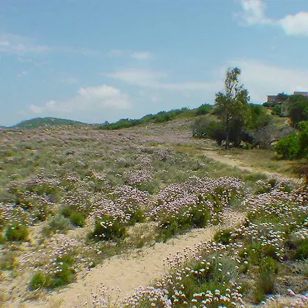 Porto Puddu - Il Nido Dei Gabbiani 3*